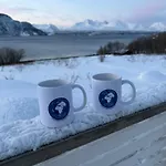 Above The Arctic Circle * Olderdalen