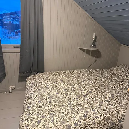 Landhuis Above The Arctic Circle *
