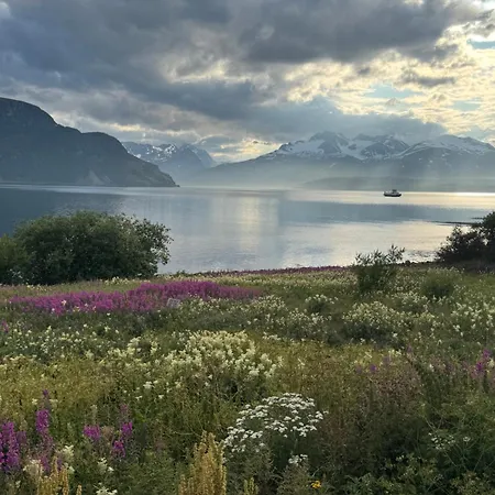 Above The Arctic Circle *