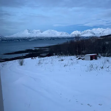 Above The Arctic Circle *
