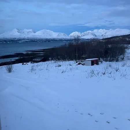 Above The Arctic Circle Olderdalen