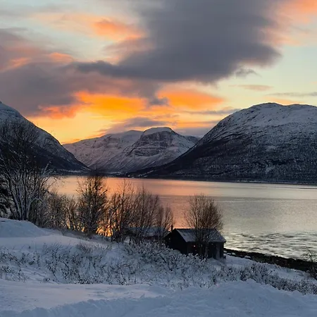 Above The Arctic Circle *