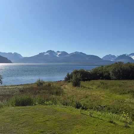 Above The Arctic Circle Olderdalen