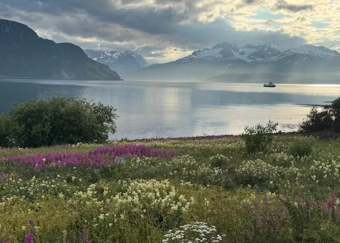 Above The Arctic Circle *