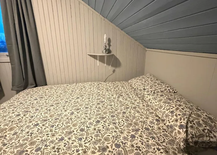 Above The Arctic Circle