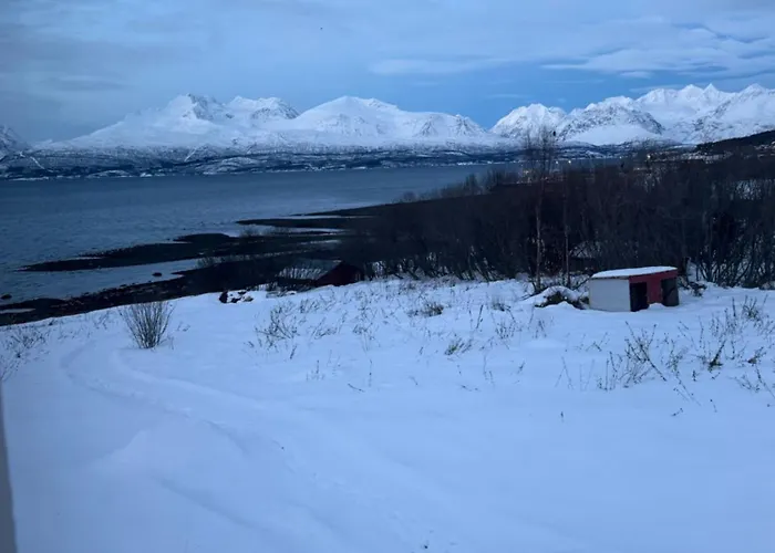 Above The Arctic Circle *