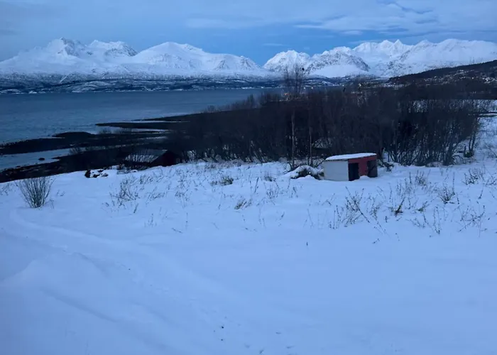 Above The Arctic Circle Olderdalen