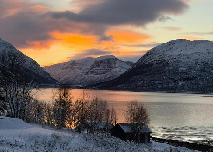 Above The Arctic Circle *