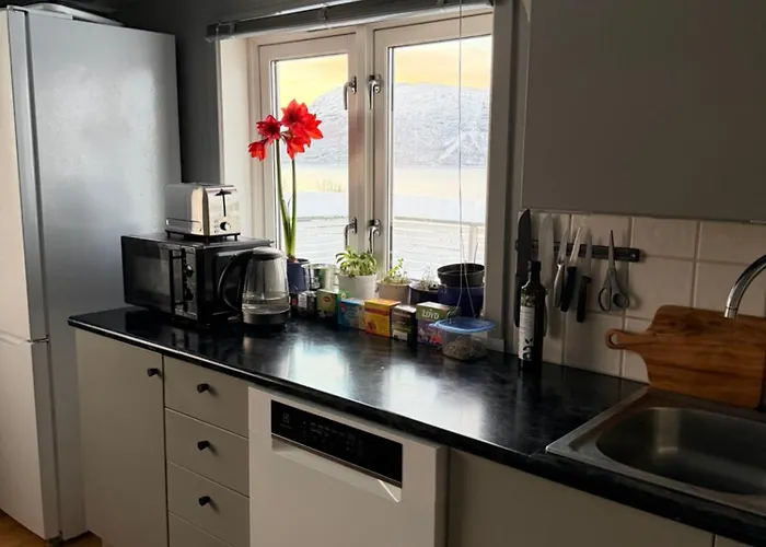 Above The Arctic Circle * Olderdalen